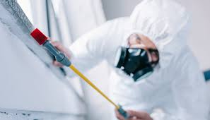 Best Pest Exclusion Services  in Scow Mills, MO